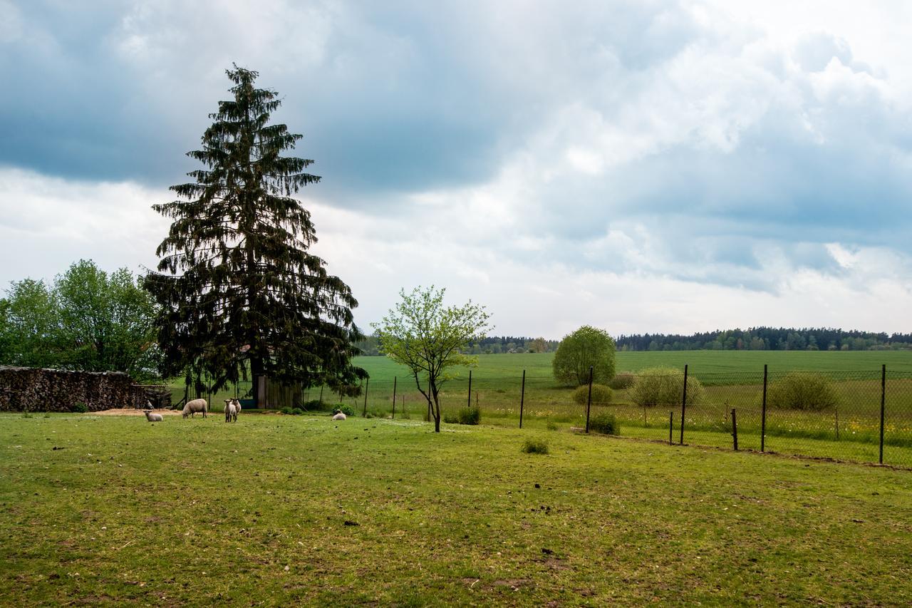 Penzion U Kostela Mláka Exterior foto